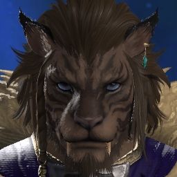 Sgt Direfire