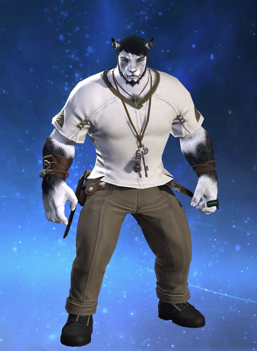 Valor Arctos