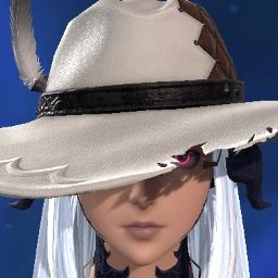 Alt Hotgo