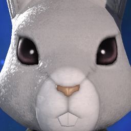 Lia Bleunoir