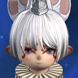 Vanitas Vanita