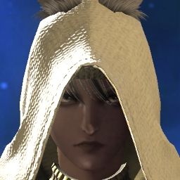 Blaidd Halfwolf