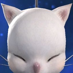 Mogkiwi Kupo