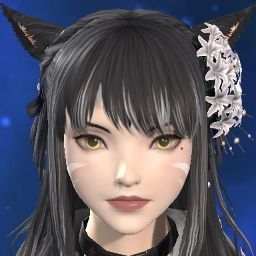 Xia Feywild