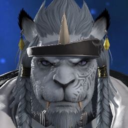 Miaw Tiger