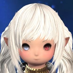 Rosa Frostgloom