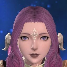 Violet Aster