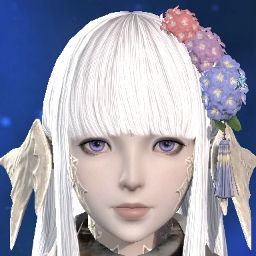 Laven Bloom