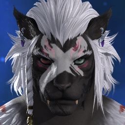 Stitches Tiber