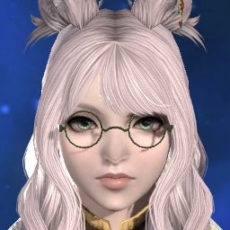 Aster Violette