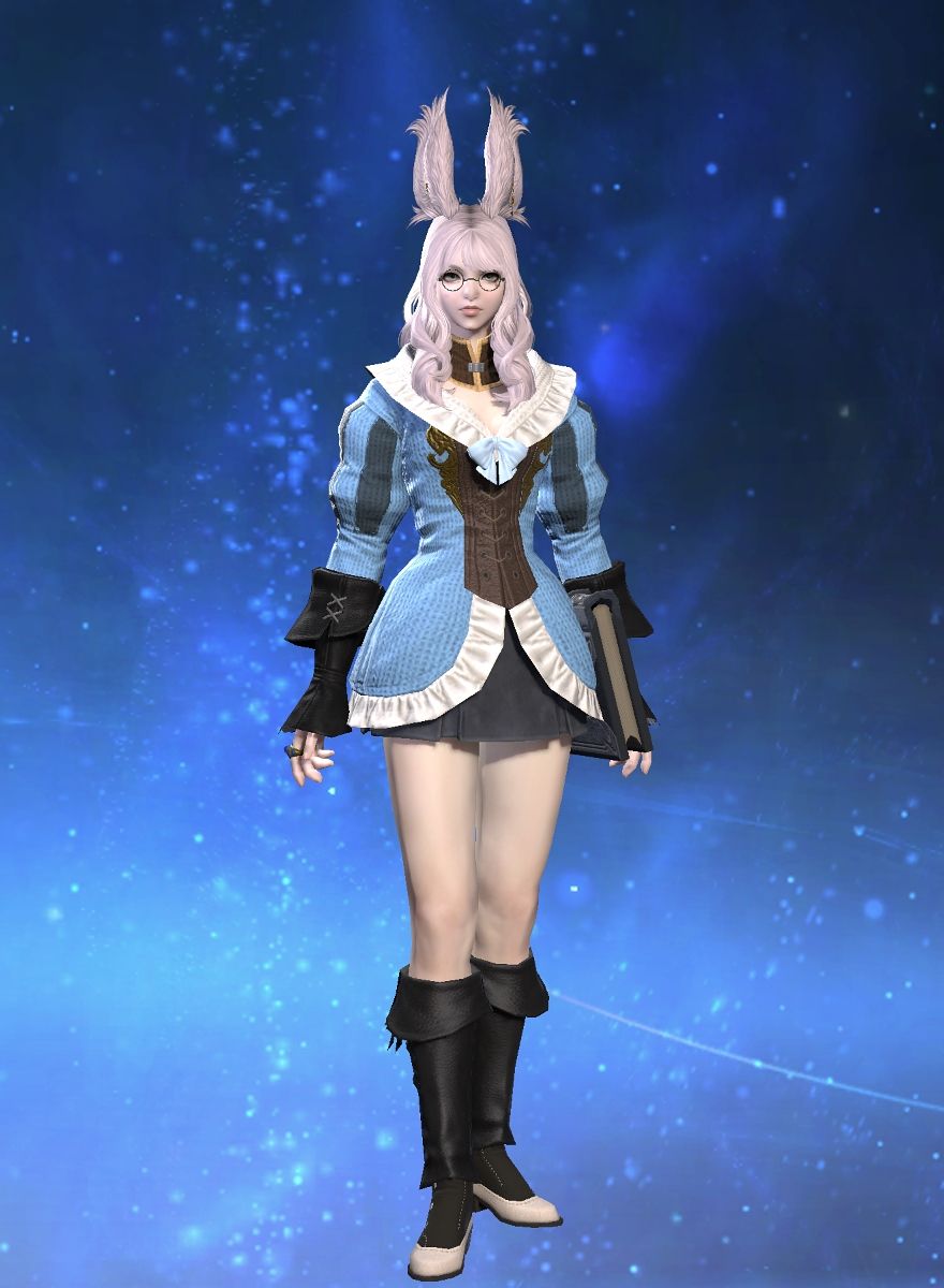 Aster Violette