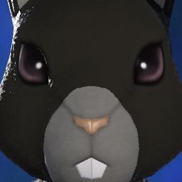 Damer's Avatar