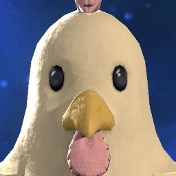 Chiita Tata