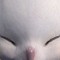 Kupo Supreme