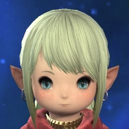 Suki Desu