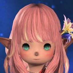 Pocket Popoto