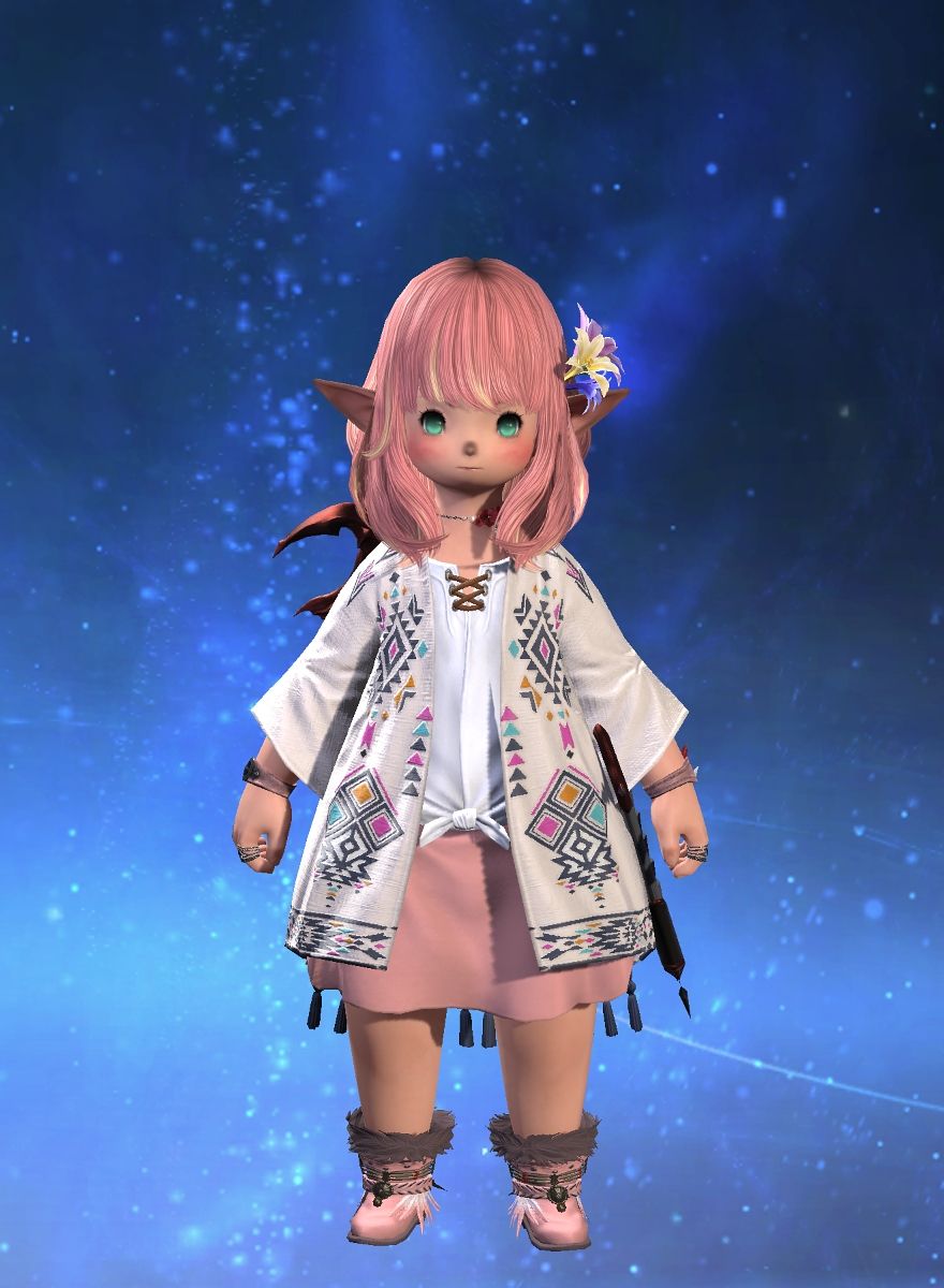 Pocket Popoto