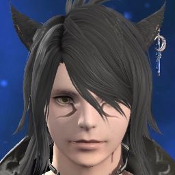 Noctis Vulpes