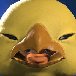 Chimken Nuggs