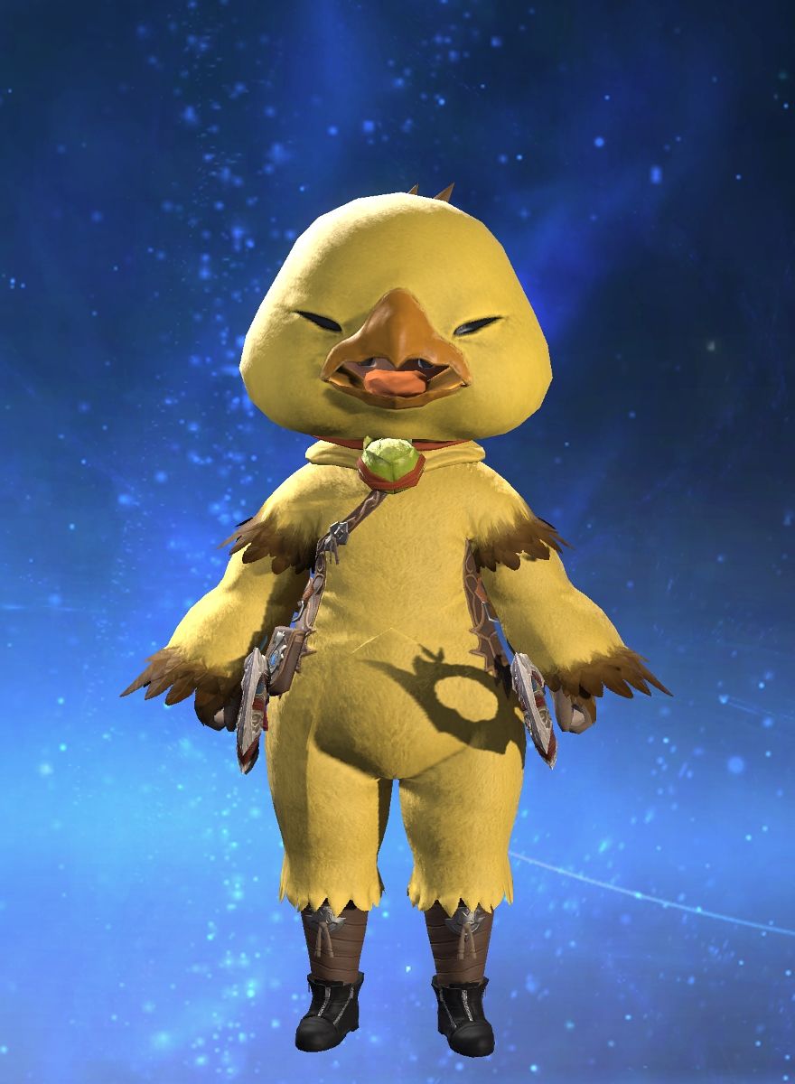 Chimken Nuggs