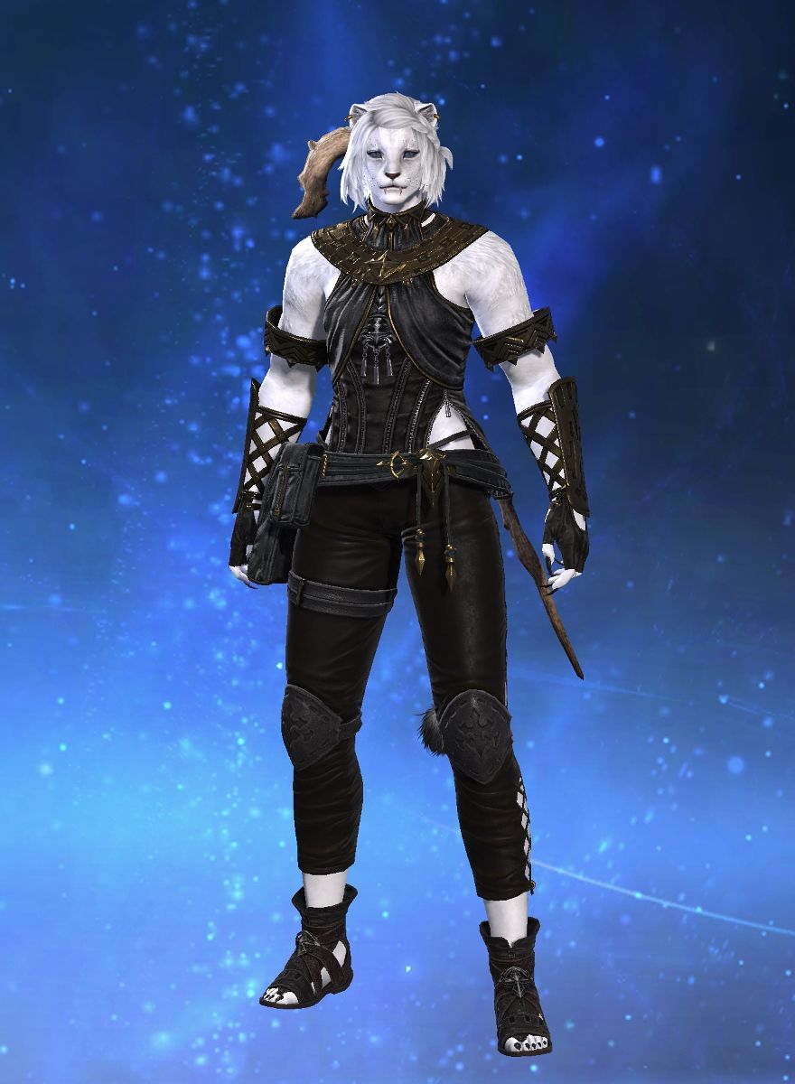 Healer Catgirl