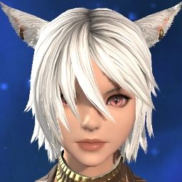 Money Cat
