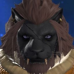 Augustus Lion