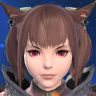 Silica Etherion