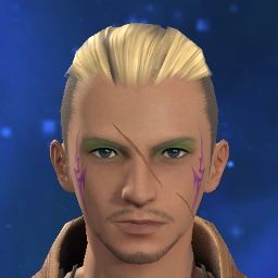 stein's Avatar