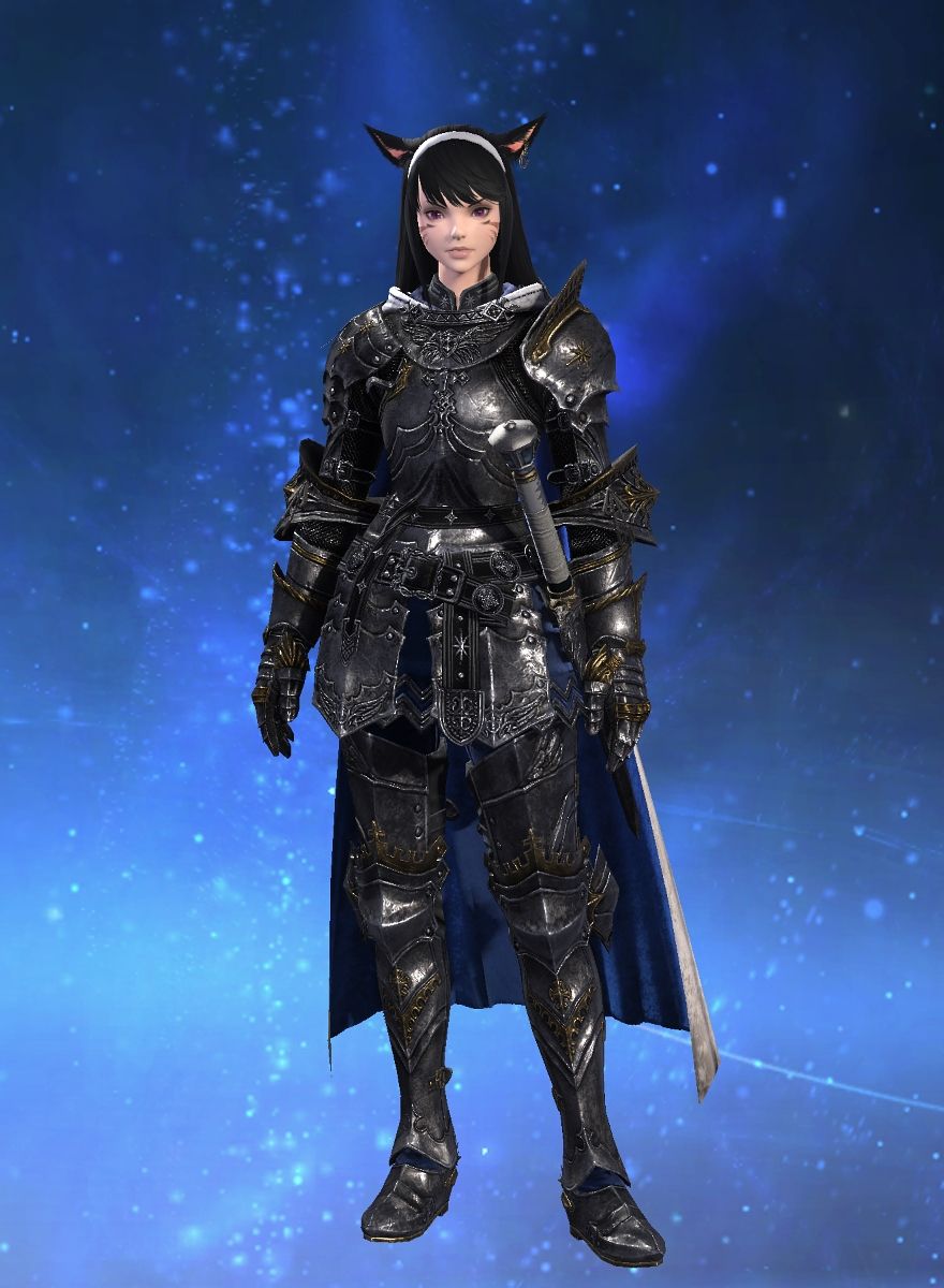 Mi Paladin