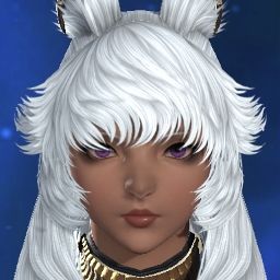 Senka Harinezumi