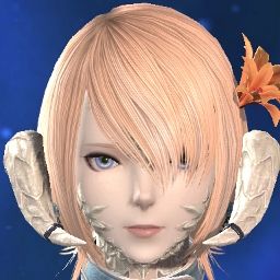 Aechmea Cairngorm