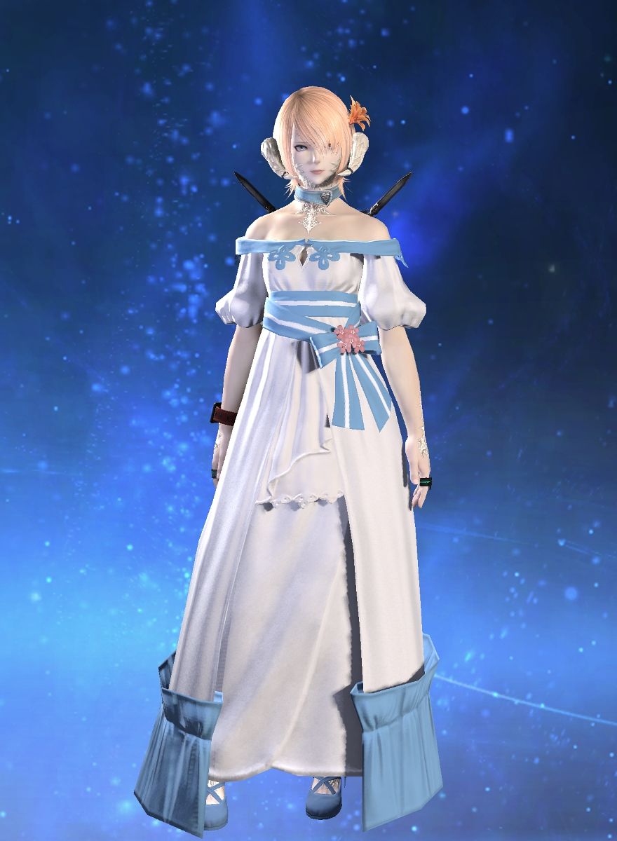 Aechmea Cairngorm
