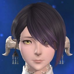 Waka Kohaku
