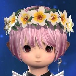 Reno Cocoa
