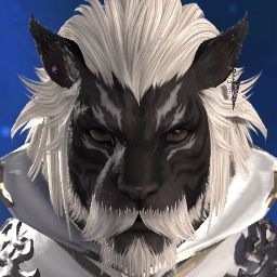 Unshaven Roegadyn