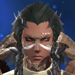 Sol Vindictus