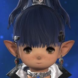 Popoto Waffle