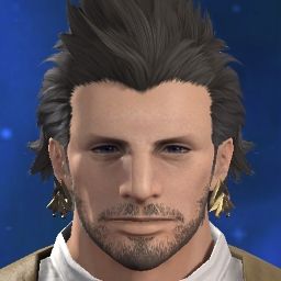 Aowlion Knight