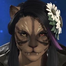 Aki Stormpaw