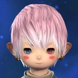 Puchi Dayo