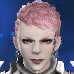 Hawk Archer