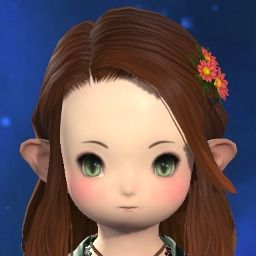 Evly Popoto