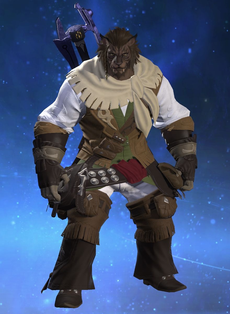 Ser Meowington