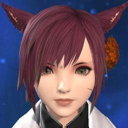 Suzaku Shikisai
