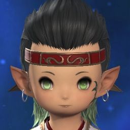 Echo Neko
