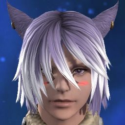 Catboi Owo