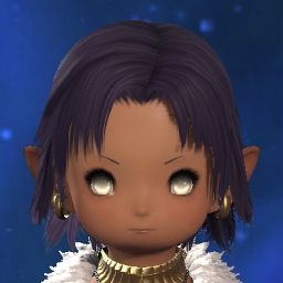 Pocket Ven