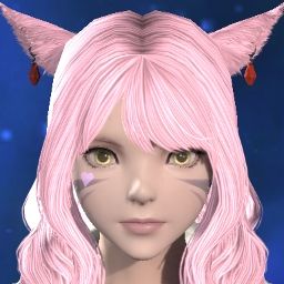 Fox Fox
