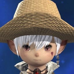 Popoto Chip